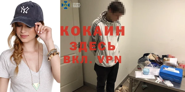 индика Алзамай