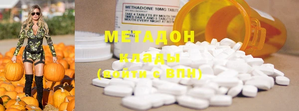 индика Алзамай