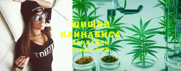 гидра Алексеевка